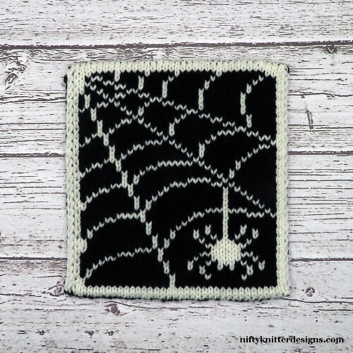 IMG_4381a_web Spiderweb Potholder